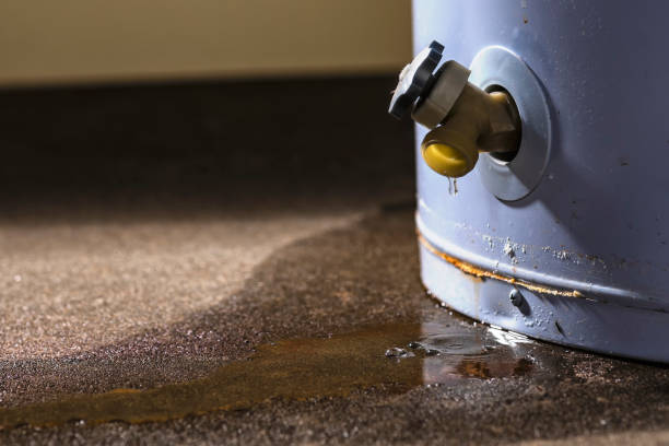Best Water damage cleanup near me  in Thibodaux, LA