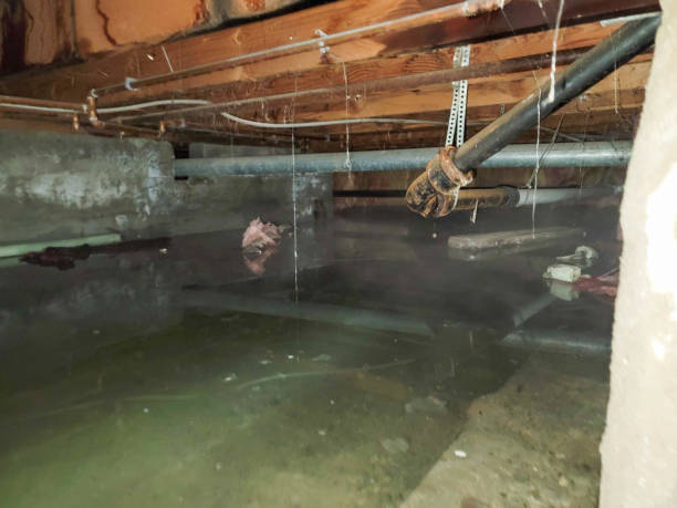 Best 24/7 water damage repair  in Thibodaux, LA