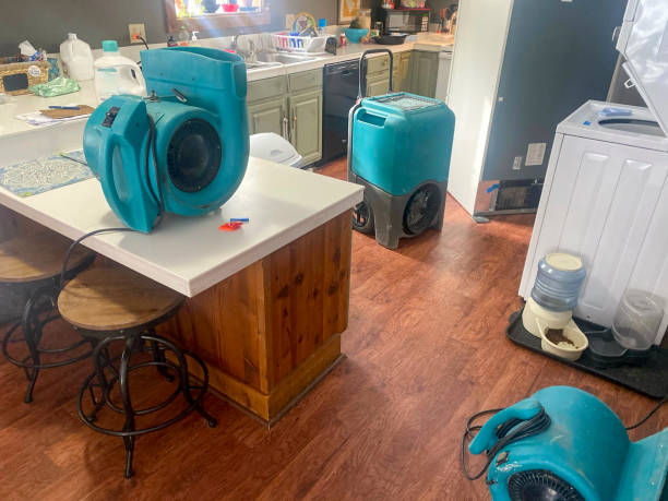 Best Water damage contractors near me  in Thibodaux, LA