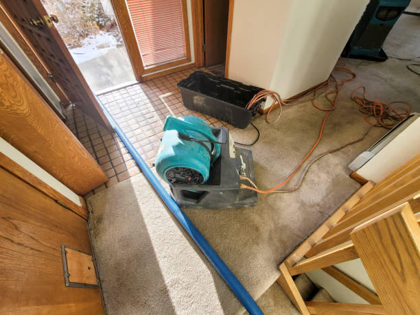 Fire Damage Restoration in LA