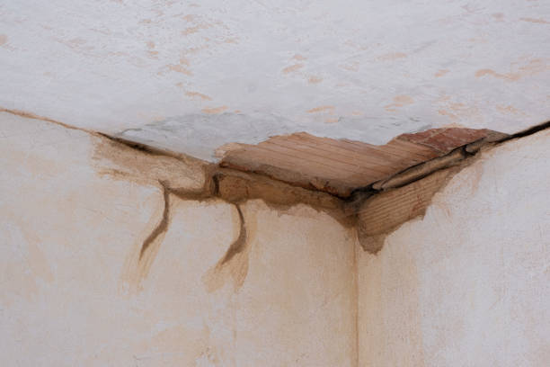 Best Residential water damage restoration  in Thibodaux, LA