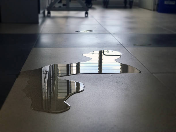 Best Carpet water damage restoration  in Thibodaux, LA