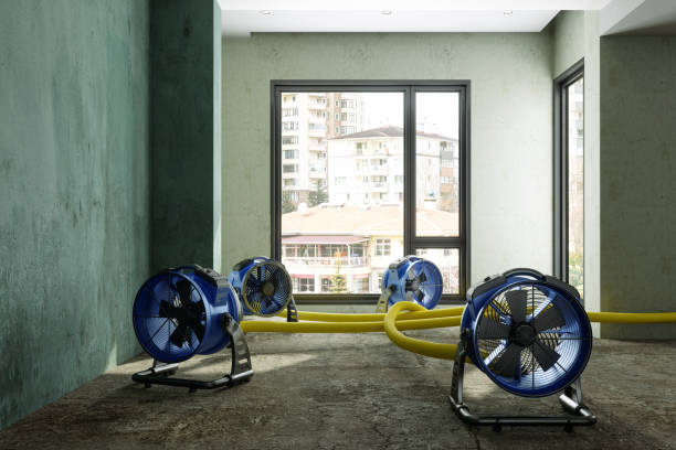 Professional Water damage restoration in LA