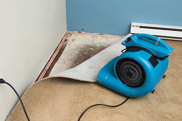 Best Ceiling water damage repair  in Thibodaux, LA